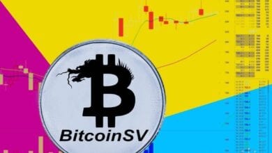 Bitcoin SV (BSV) Başarılı Hard Fork Geçirdi