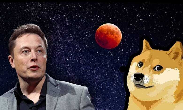 Elon Musk Yine DOGE Fiyatlarına Müdahil Oldu - Koin Times