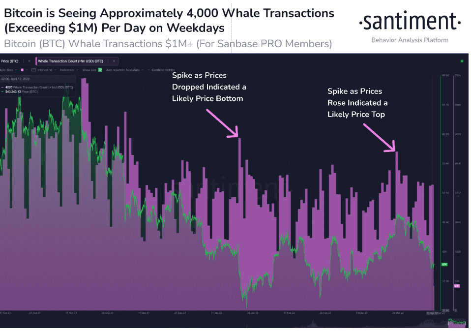 bitcoin balinaları harekette paralar akmaya başladı, bitcoin fiyatı yükselecek mi? olası senaryolar nelerdir 1